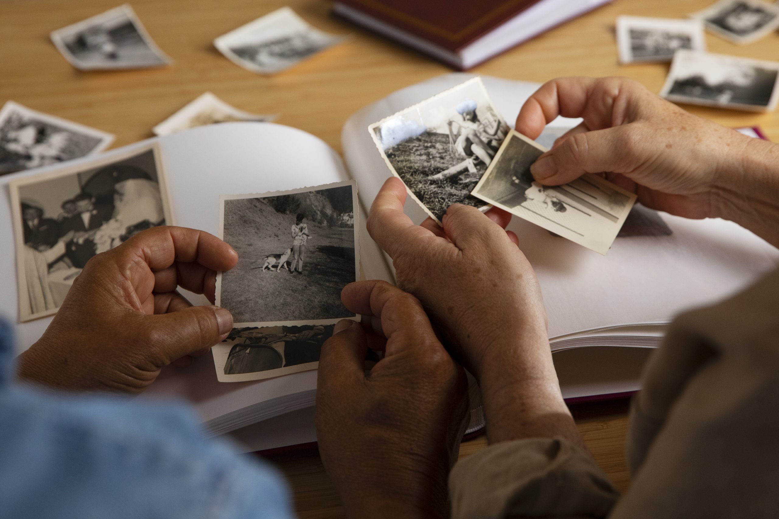 digital photo restoration services in Bloomington